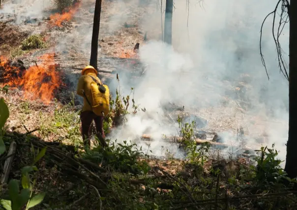 Liquidan 13 incendios forestales en Edoméx, se activan 3 más