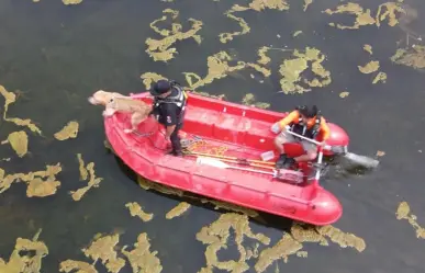 Piden ayuda para trasladar cuerpos de dos veracruzanos ahogados en Zuazua