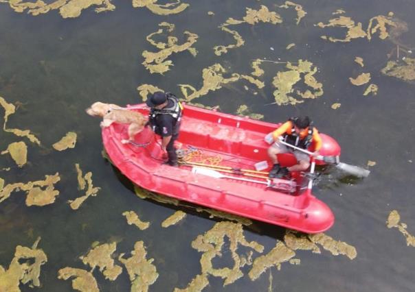 Piden ayuda para trasladar cuerpos de dos veracruzanos ahogados en Zuazua