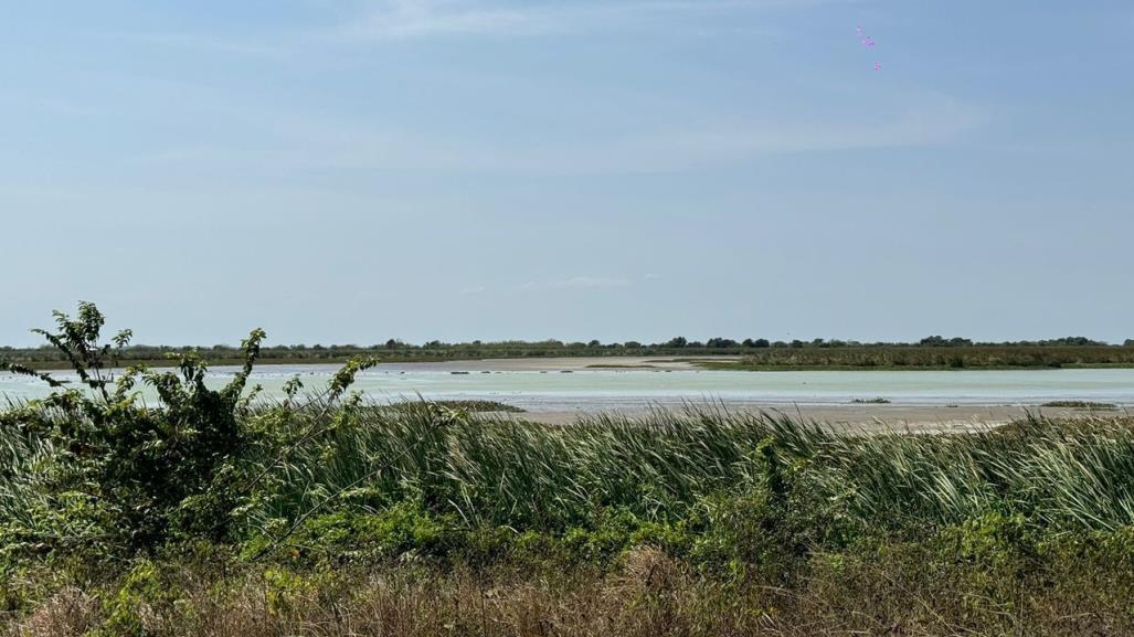 Detectan robo de agua en sistema lagunario del sur de Tamaulipas