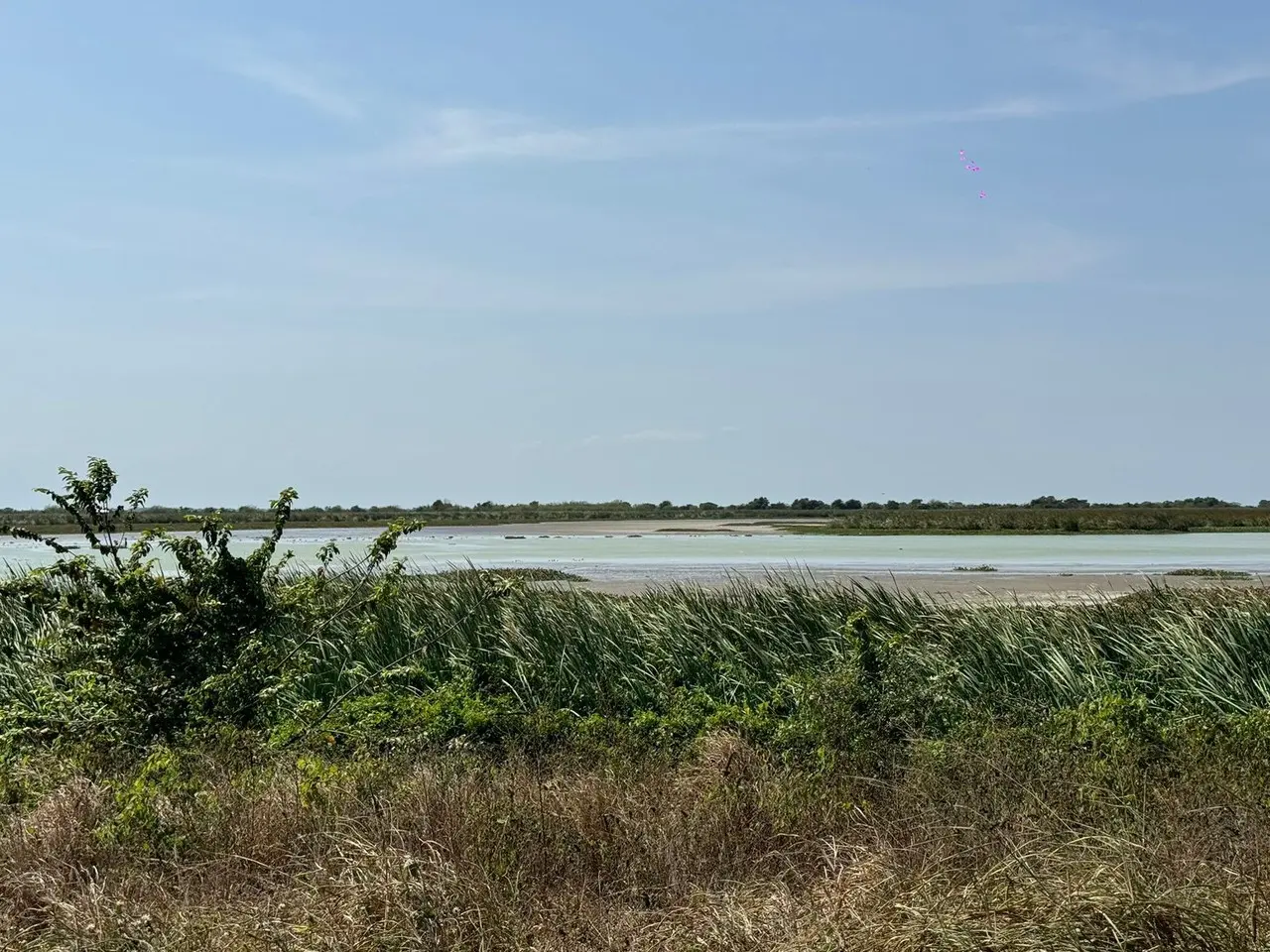 Detectan robo de agua en sistema lagunario del sur de Tamaulipas