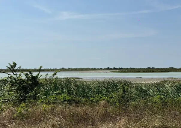 Detectan robo de agua en sistema lagunario del sur de Tamaulipas