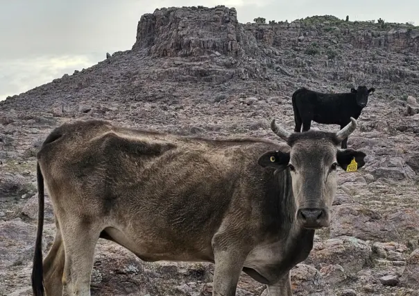 Se viene la sequía más agresiva de la historia para México