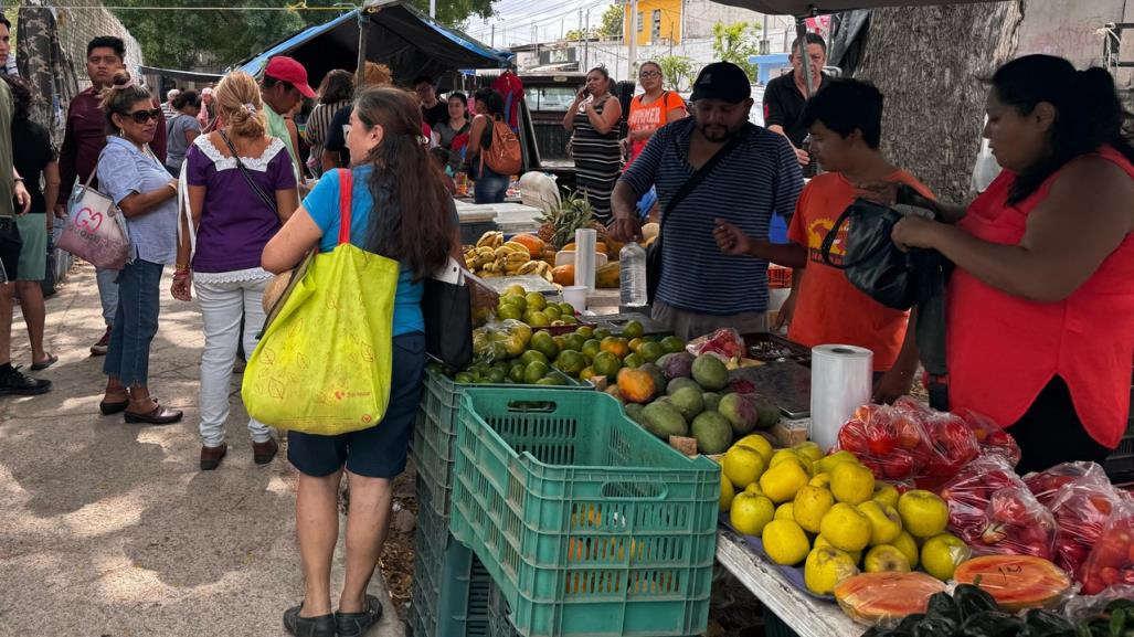 Tianguis de Mérida: puntos de encuentro para familias yucatecas