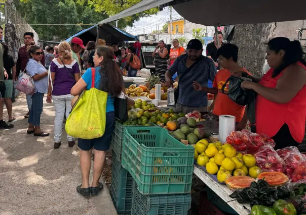 Tianguis de Mérida: puntos de encuentro para familias yucatecas