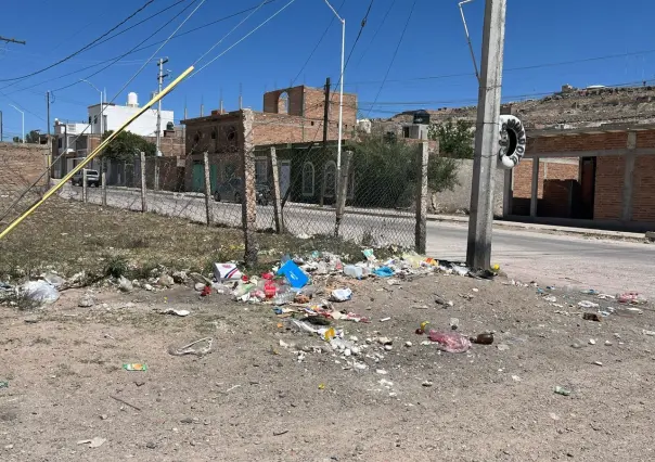 Continúan los tiraderos clandestinos de basura