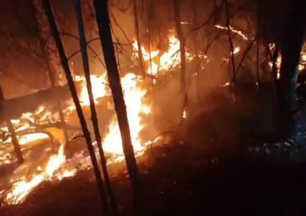 Alerta de incendios forestales; surgen tres más en Edomex