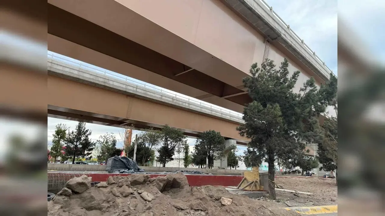 Árboles y flora plantada bajo el puente Fco. Villa crecerá sin problemas: Secope