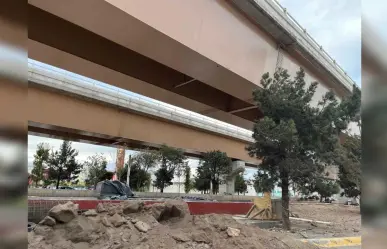 Árboles y flora plantada bajo el puente Fco. Villa crecerá sin problemas: Secope