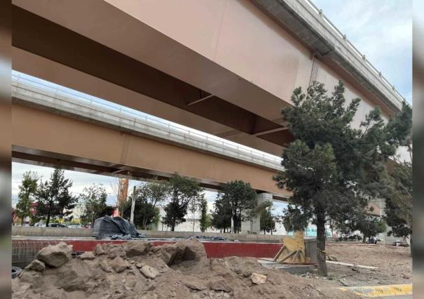 Árboles y flora plantada bajo el puente Fco. Villa crecerá sin problemas: Secope