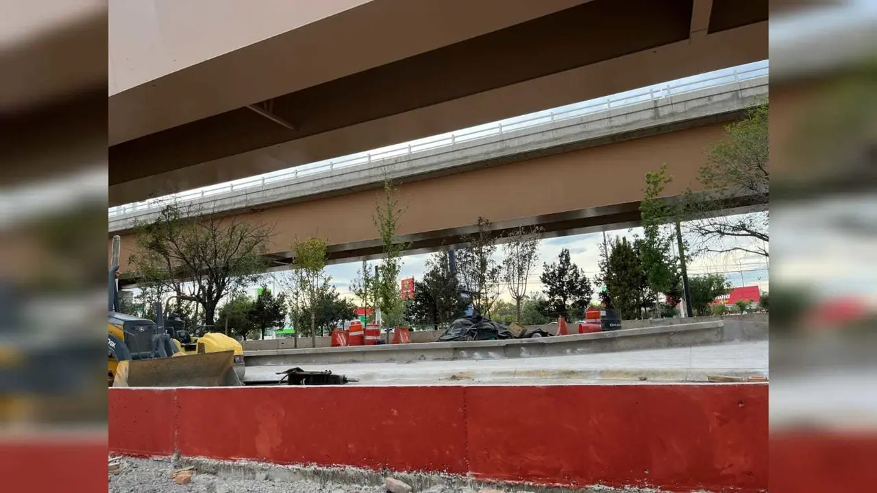 Árboles y flora plantada bajo el puente Fco. Villa crecerá sin problemas: Secope