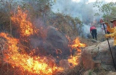 Incendio consume 15 hectáreas de un bosque en Veracruz