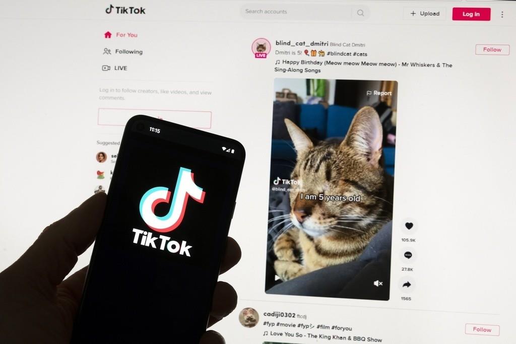 TikTok Lite: ¿riesgos para menores y salud mental?