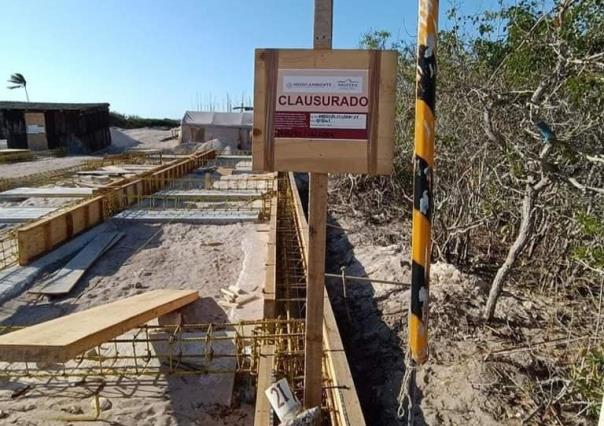 Clausuran proyectos inmobiliarios en Sisal por daños ecológicos