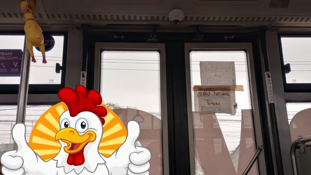 ¡El pollo no falla! Timbran en Transmetro Ruta 223 Huertos con un pollo de hule