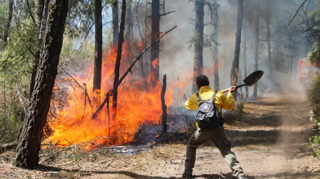 817 hectáreas afectadas por incendio en Huitzilac, Morelos; continúan labores