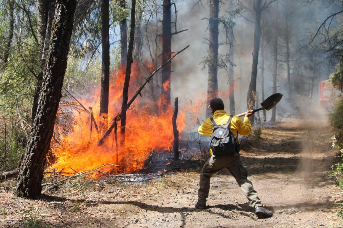 Personal del EEMI atendiendo el incendio en Huitzilac, Morelos. Foto: Equipo Estatal de Manejo de Incidentes