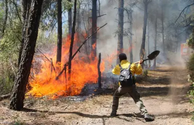 817 hectáreas afectadas por incendio en Huitzilac, Morelos; continúan labores