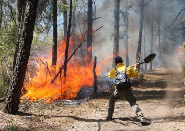 817 hectáreas afectadas por incendio en Huitzilac, Morelos; continúan labores