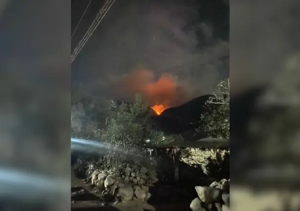 Se registra en Tula el octavo incendio forestal de la temporada