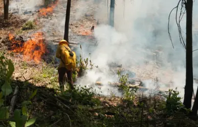 Liquidan 13 incendios forestales en Edomex; combaten dos incendios activos