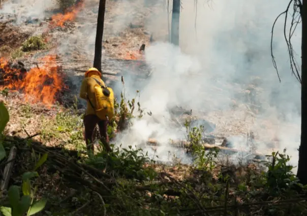 Liquidan 13 incendios forestales en Edomex; combaten dos incendios activos