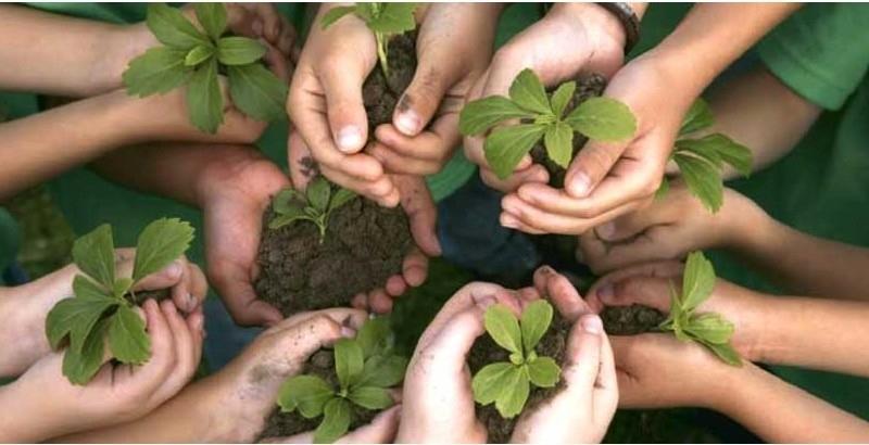 El CCEA conmemora el Día Mundial de la Madre Tierra en Mérida