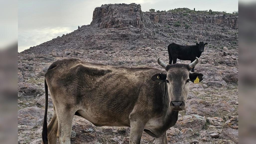 Miércoles con ambiente muy caluroso para Durango, poco alentador en lluvias