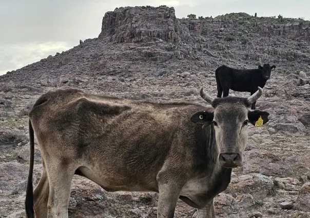 Miércoles con ambiente muy caluroso para Durango, poco alentador en lluvias