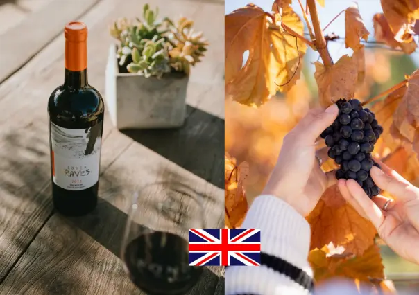 Reino Unido etiqueta vinos de importación para venderlos como británicos