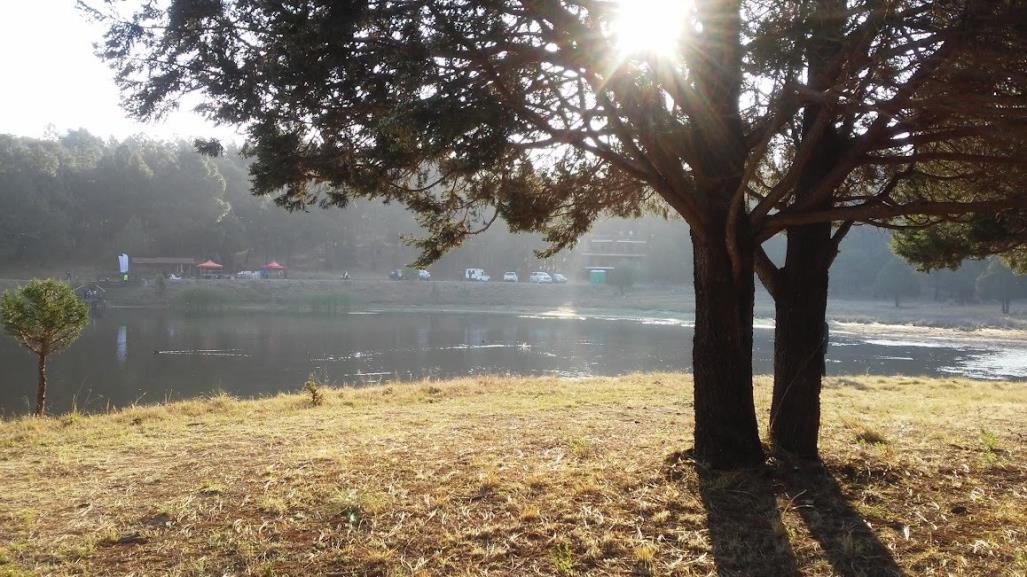 Continúan los días calurosos ¿Habrá probabilidades de lluvia?