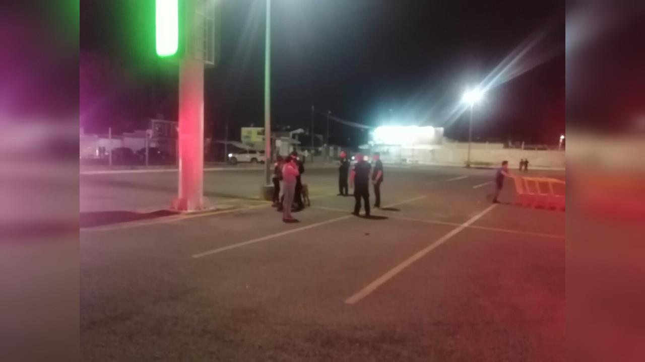Atrapan a un perro por atacar a clientes de Bodega Aurrera
