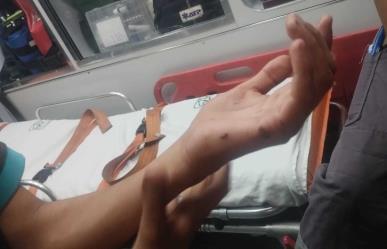 Atrapan a un perro por atacar a clientes de Bodega Aurrera
