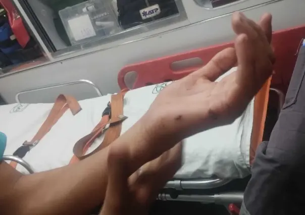 Atrapan a un perro por atacar a clientes de Bodega Aurrera