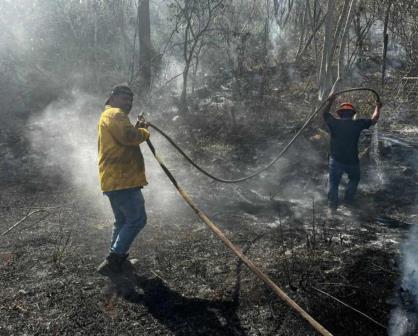 Aumentan reportes de quema de basura clandestina en Progreso