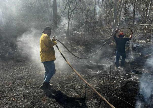 Aumentan reportes de quema de basura clandestina en Progreso