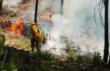 Edomex: Suman 14 incendios liquidados en las últimas 24 horas