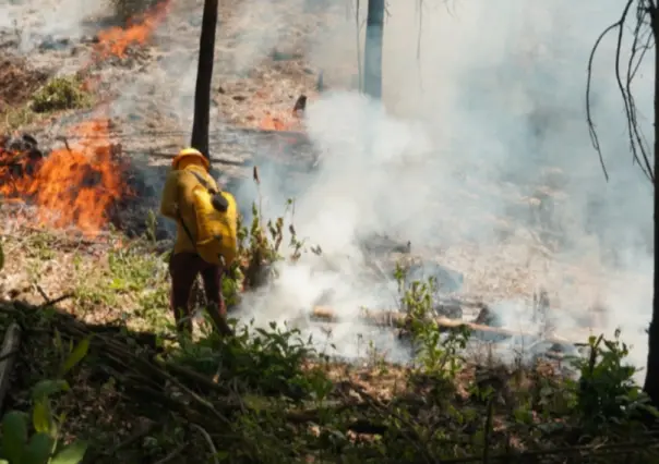 Edomex: Suman 14 incendios liquidados en las últimas 24 horas