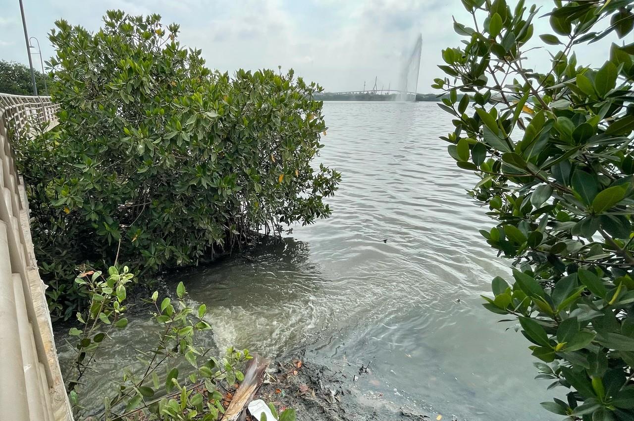 Descargan miles de metros cúbicos de aguas negras a Laguna del Carpintero