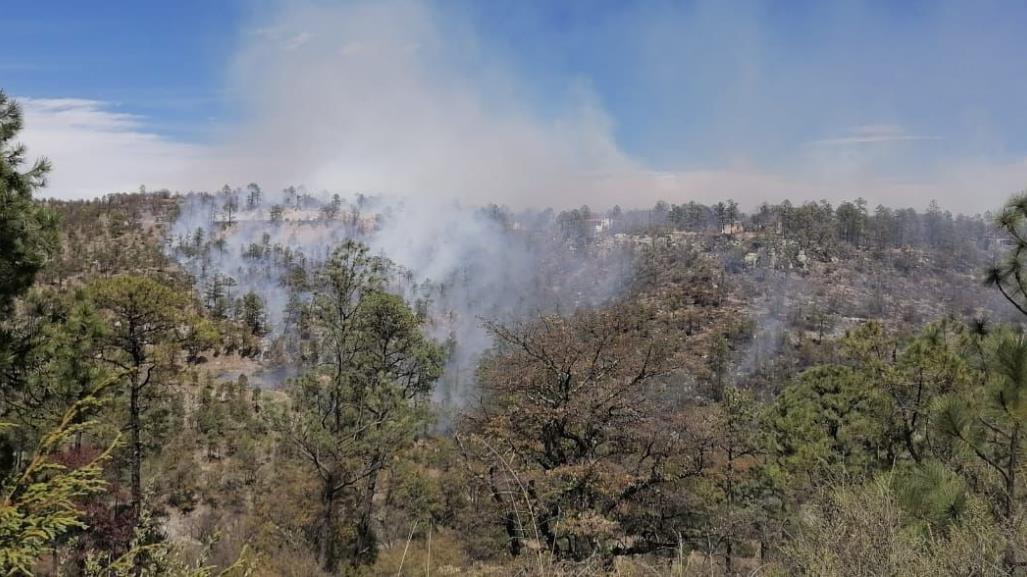 Suman nueve incendios forestales en el municipio