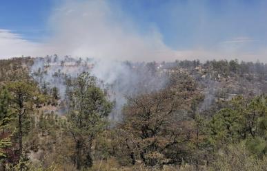 Suman nueve incendios forestales en el municipio