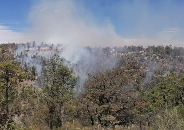 Suman nueve incendios forestales en el municipio