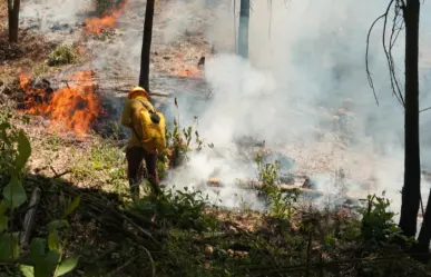 Liquidan cinco incendios forestales más en Edomex