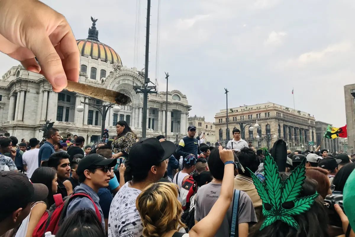 ¿Por qué se celebra el Día Internacional de la Marihuana?. Foto: @EducannaOnline