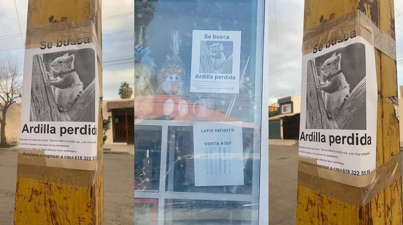 Un peculiar cartel se encuentra pegado en los alrededores del Real del Mezquital en donde una familia busca a una ardilla con un moño rojo. Foto: Brenda García.