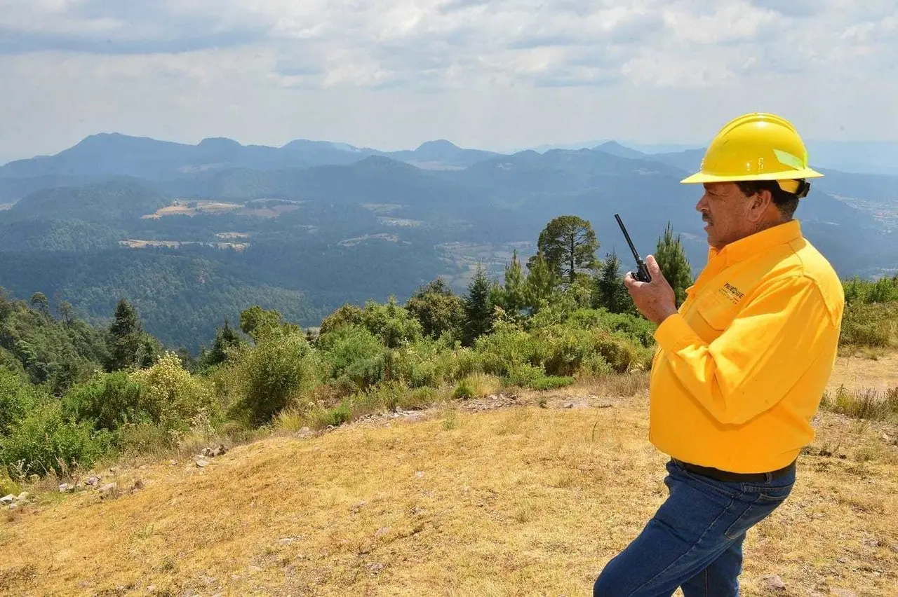 Con vigilancia de altura Probosque ataca incendios forestales de forma temprana