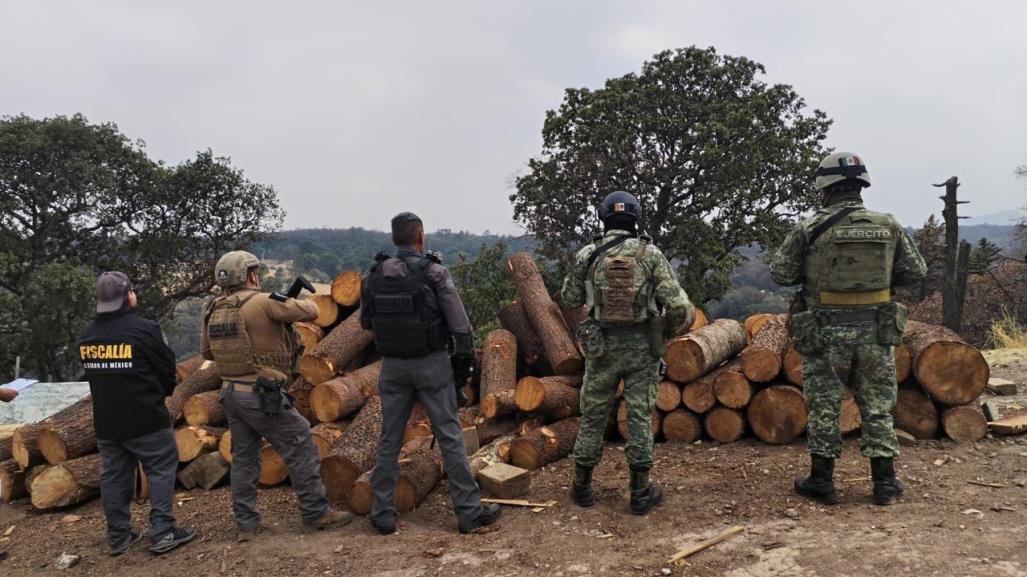 Desmantelan aserradero clandestino; recuperan madera de pino