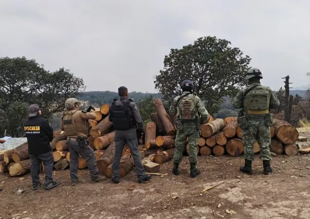 Desmantelan aserradero clandestino; recuperan madera de pino