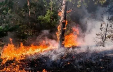 Liquidados cinco incendios forestales en el Estado de México