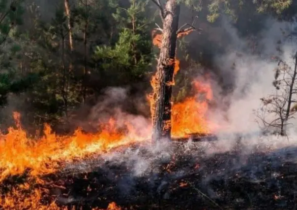 Liquidados cinco incendios forestales en el Estado de México